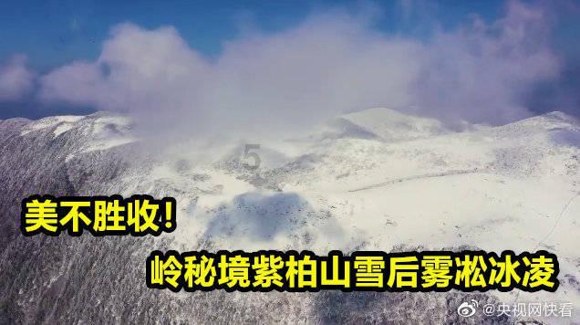 创作猫