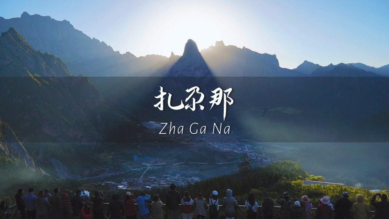 创作猫