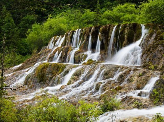 解惑蜗牛-艾兰岛鹦鹉螺在哪专业问答平台
